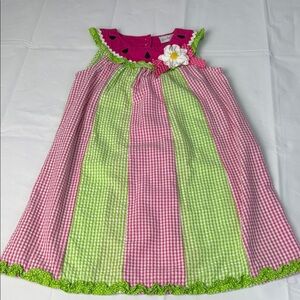 Emily Rose Pink and Green Gingham Dress